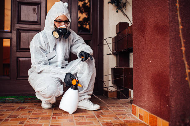 Reliable Ant Control contractor in New Britain, CT by Nex Pest Control