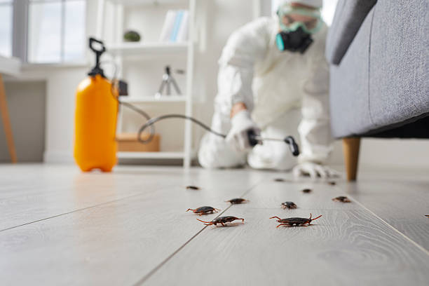 Trusted Fumigation Services service in New Britain, CT - Nex Pest Control