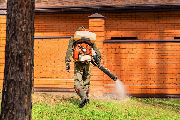 Trusted Emergency Pest Control service in New Britain, CT - Nex Pest Control